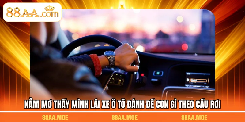 Nằm mơ thấy mình lái xe ô tô đánh đề con gì theo cầu rơi