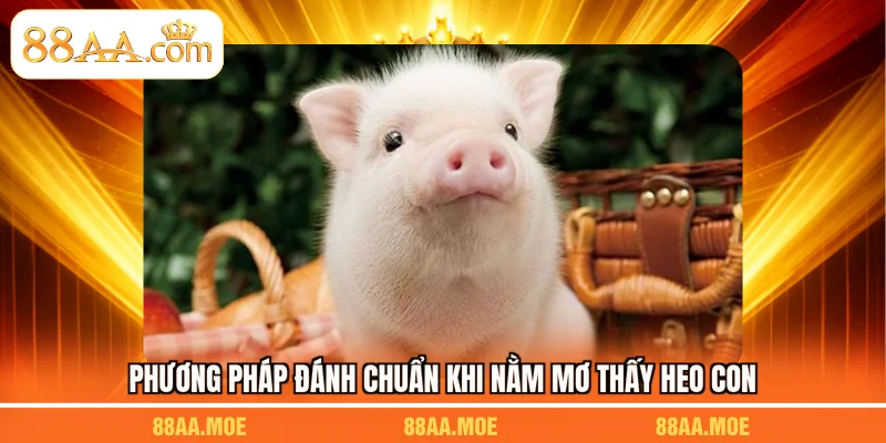 Phương pháp đánh chuẩn khi nằm mơ thấy heo con
